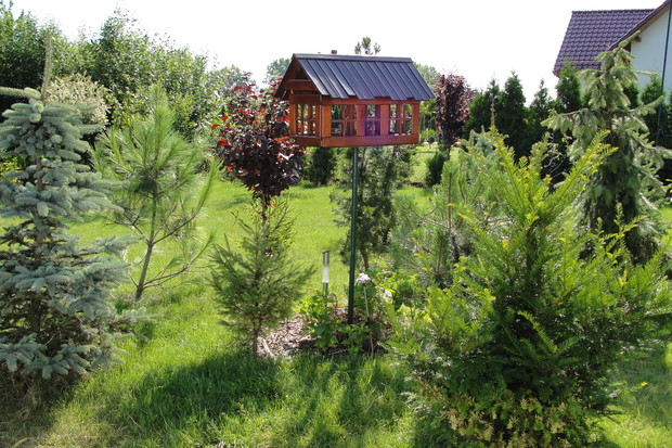 Stołówka  dla naszych milusińskich, którzy chętnie z niej korzystają. Karmnik jest umieszczony na wprost okna kuchennego, skąd często obserwujemy ptasie harce.