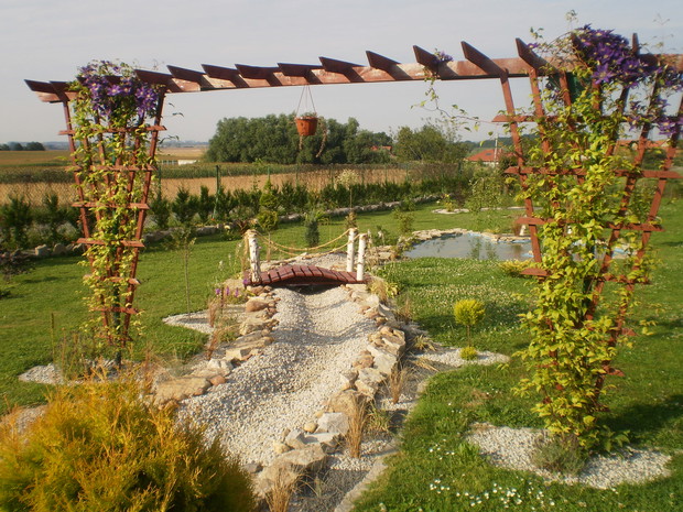 Strumyk łączący dwa oczka(przepraszam, że bez wody awaria pompy), mostek i pergola z powojnikami