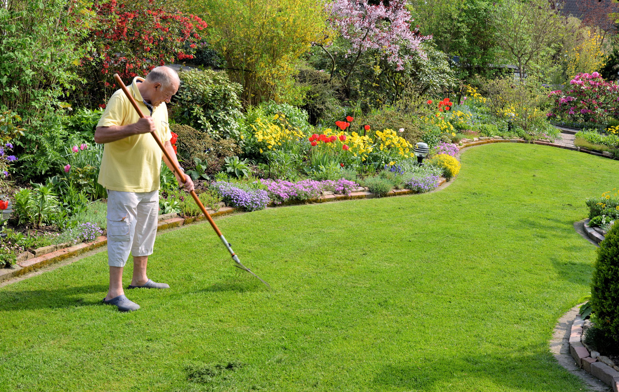 Taki piękny trawnik to efekt rozsądnego nawożenia, podlewania i częstego koszenia
