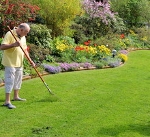 Taki piękny trawnik to efekt rozsądnego nawożenia, podlewania i częstego koszenia