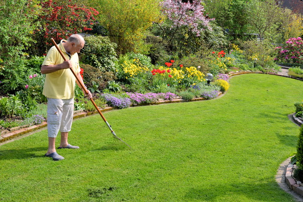 Taki piękny trawnik to efekt rozsądnego nawożenia, podlewania i częstego koszenia