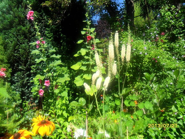 ten widok powtarza się co roku - ale nigdy się nie znudzi