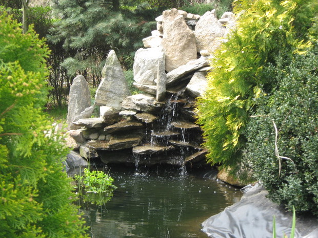 To oczko pozwala mi odpłynąć w marzeniach