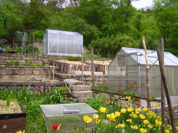 Tutaj widac dwie nowe szklarenki na pomidory