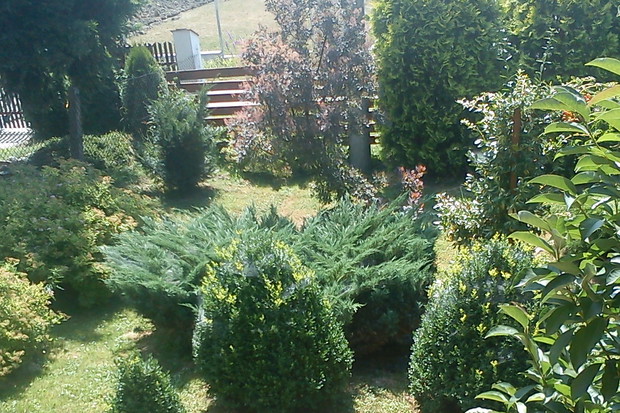 Ulubiony mój zakątek działki