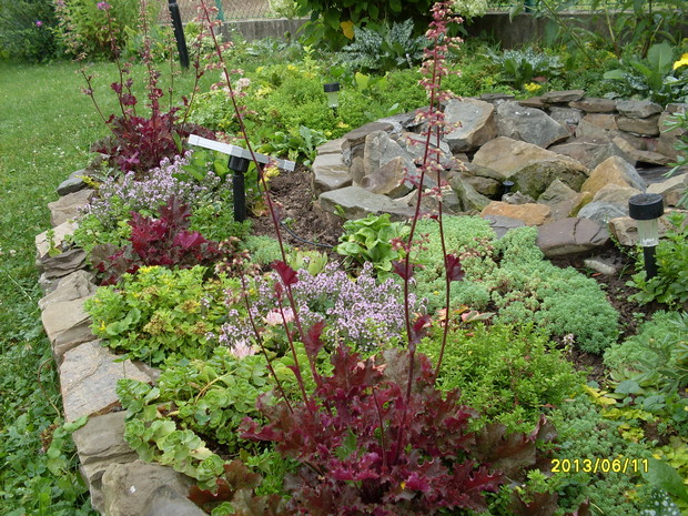 W otoczeni fontanny powstał mały ogródek