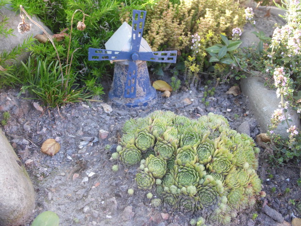 Wiatrak - ozdoba na skalniaku