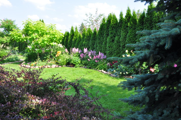 WIDOK NA KATALPĘ I TAWUŁKI