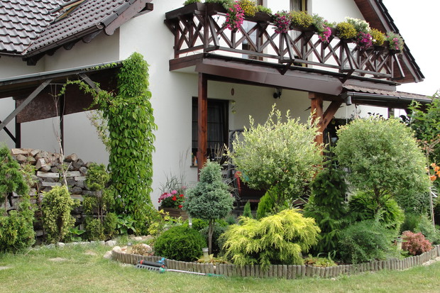 Widok na roślinność przy tarasie od strony drewutni pięknie już zarastającej winobluszczem pięciolistkowym.