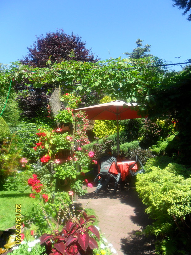 zarówno kwiaty jak i liscie drzew tworza to cos!