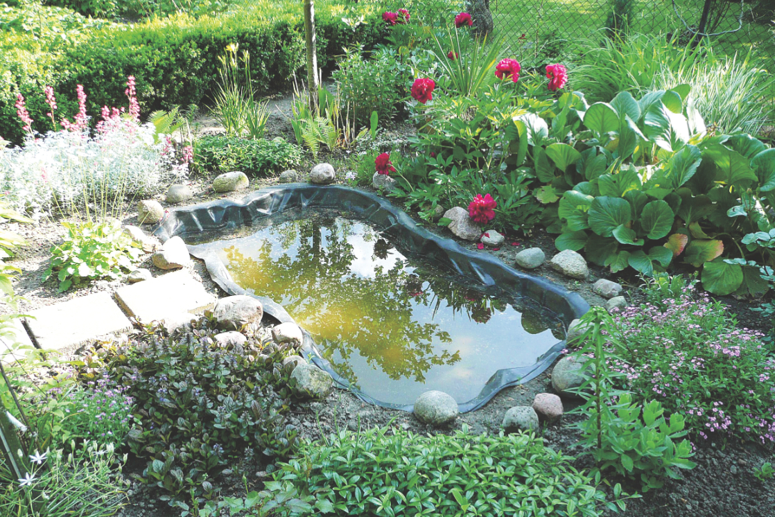 Zbiornik, usytuowany raczej w półcieniu, obsadziłem roślinami wieloletnimi