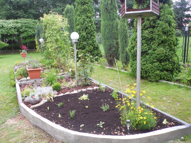 Zielnik obok skalniaka