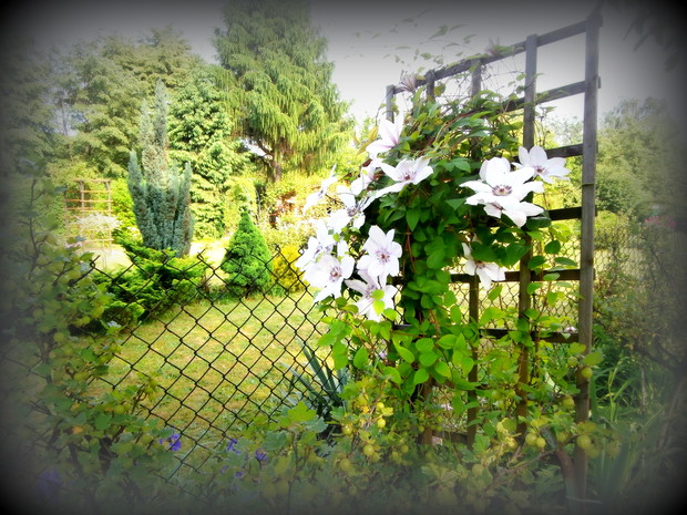 Zmysłowe Klimaty :)