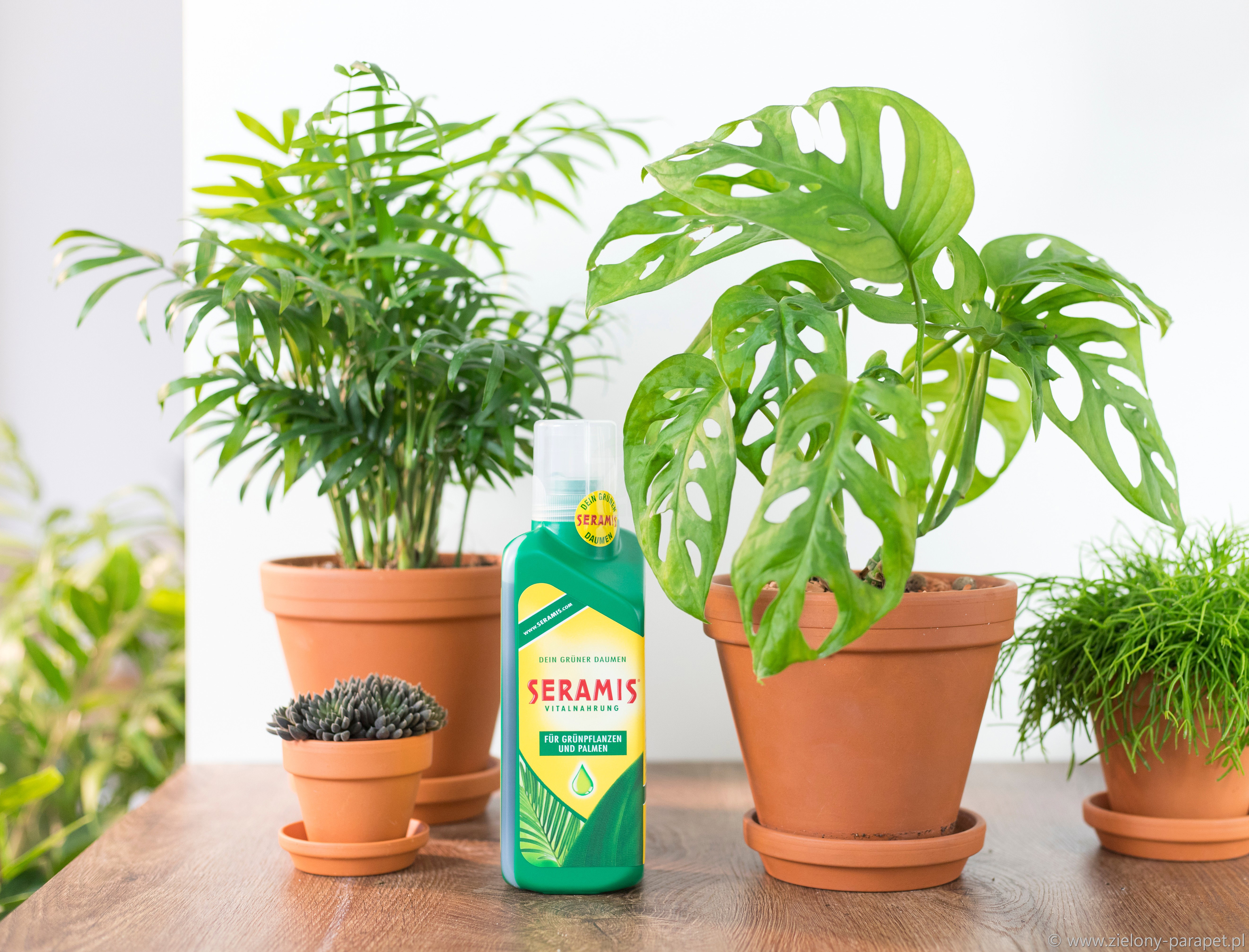 Podłoże roślin doniczkowych