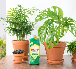 Podłoże roślin doniczkowych