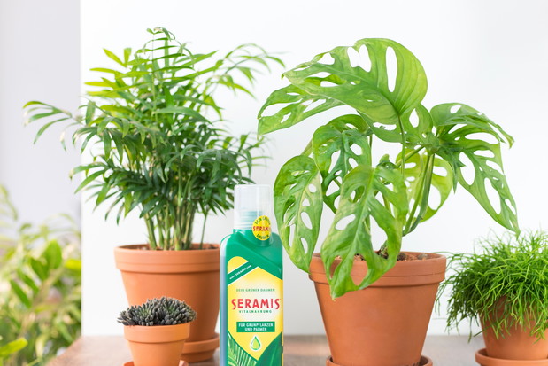 Podłoże roślin doniczkowych