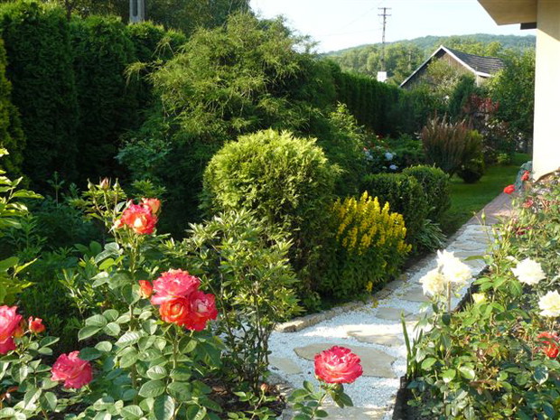 Alejka prowadząca do mini sadu i kącika kawowego. Wykonana została z piaskowca i białej marianny. Wokół róże, magnolie, dalie i agawy.
