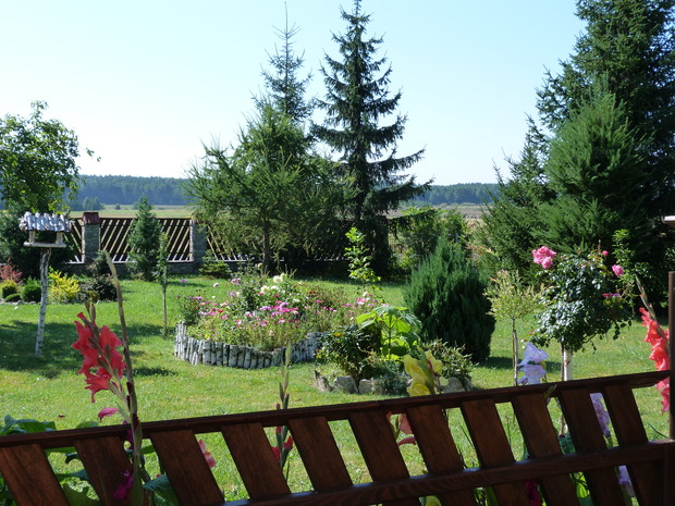 Brzozowy pomocnik ogrodu.