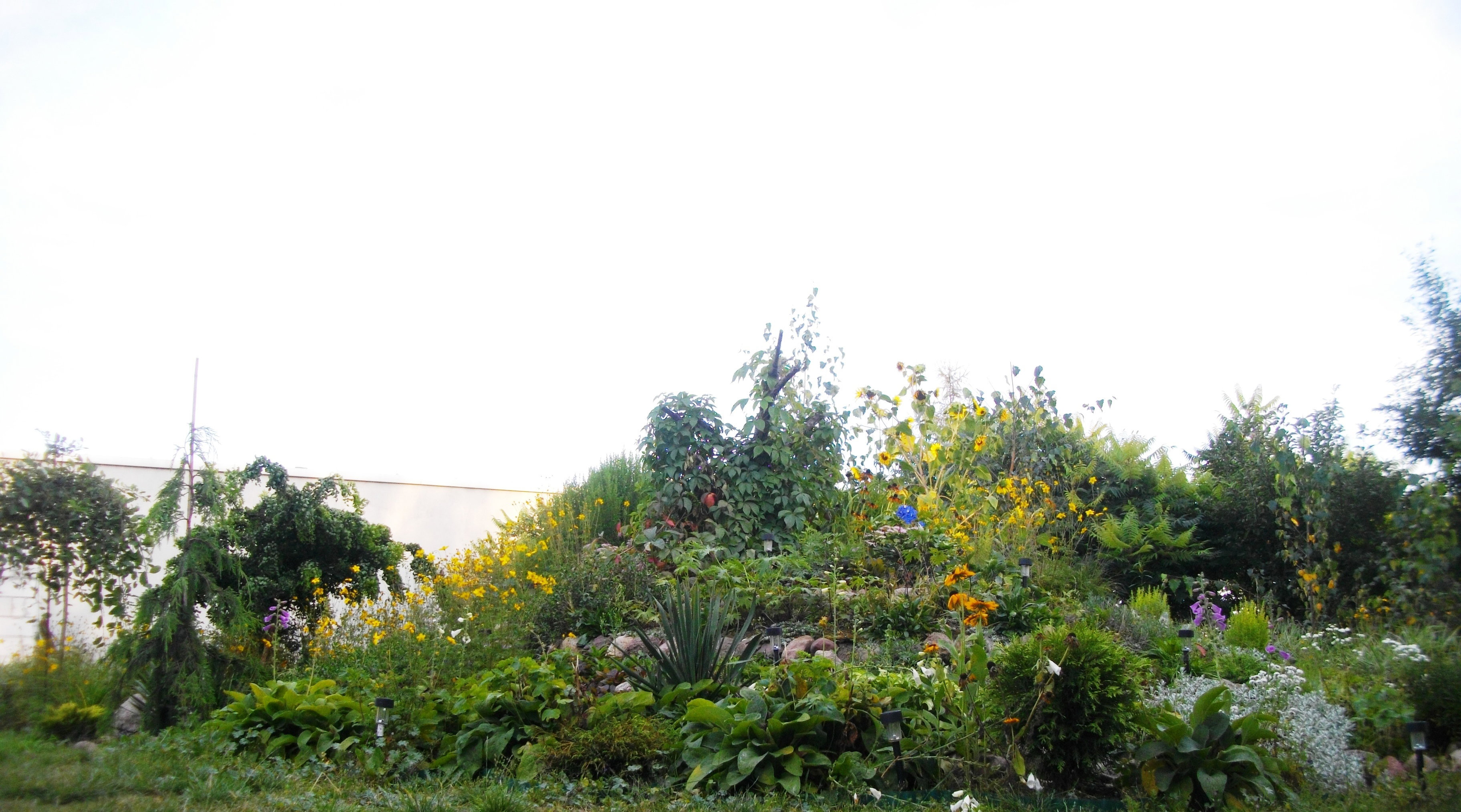 Czy widać, że to skalniak?