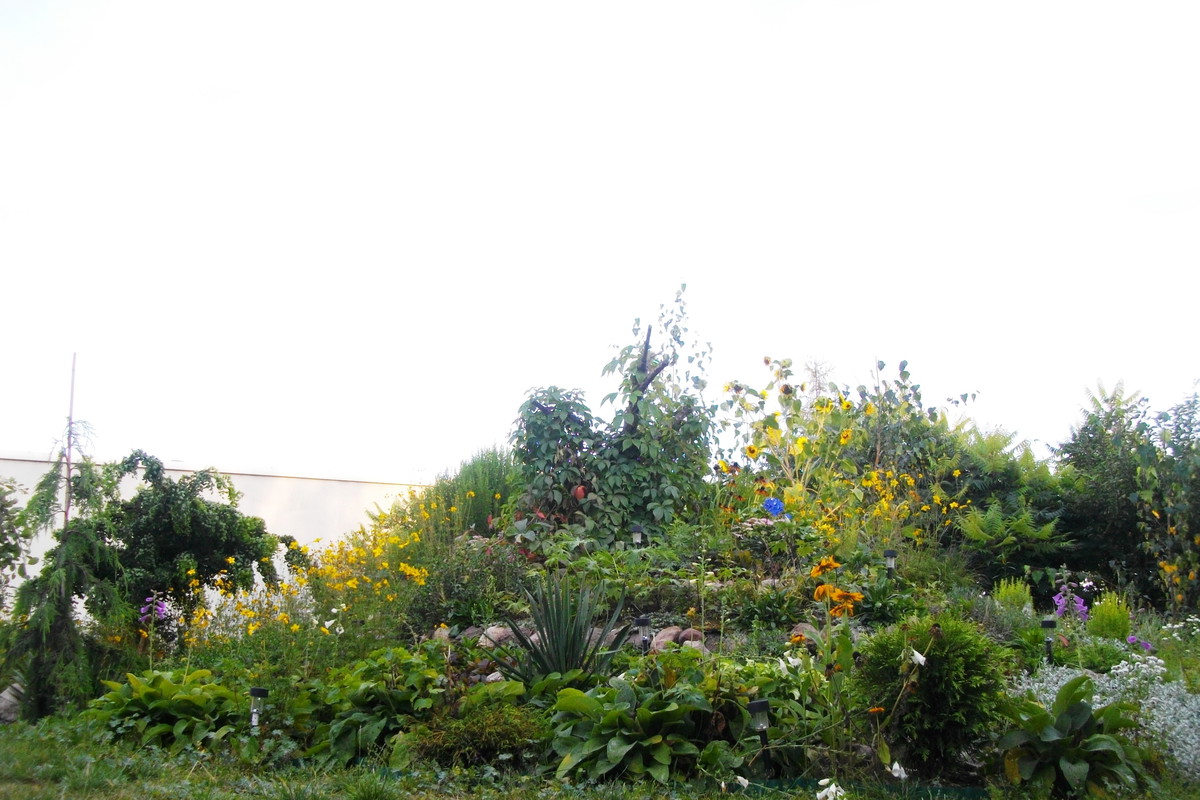 Czy widać, że to skalniak?