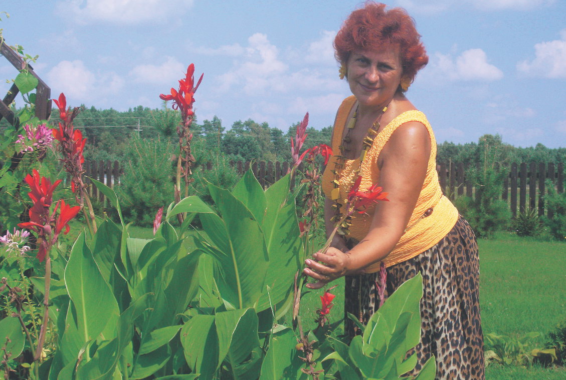 Dorodne kanny są chlubą uwielbiającej swój ogród gospodyni.