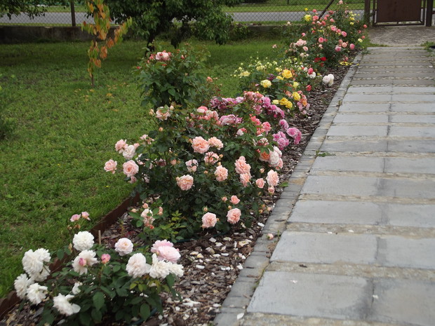 Dróżka prowadząca do domu.