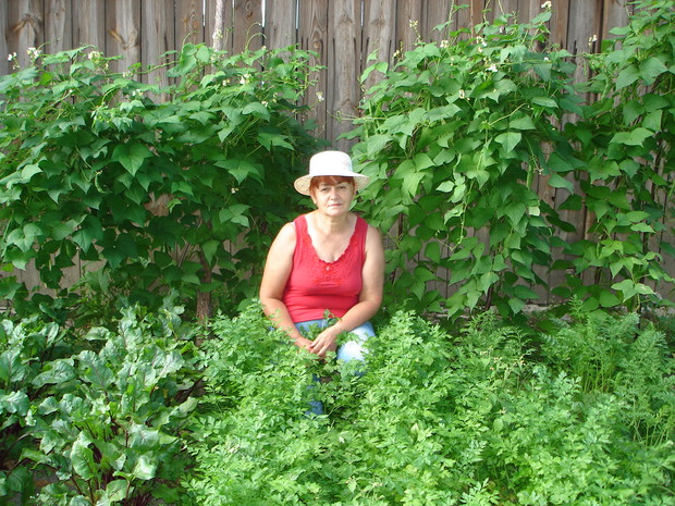 Ekologiczny ogródek warzywny