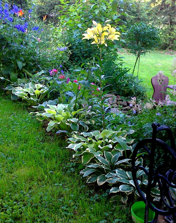 Funkie pilnują porządku