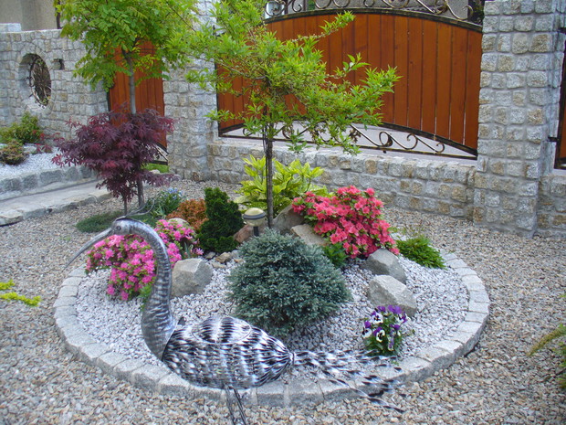 Gdy tylko przekwitnie żółta forsycja ,na rabacie rozkwitają miniaturowe azalie.