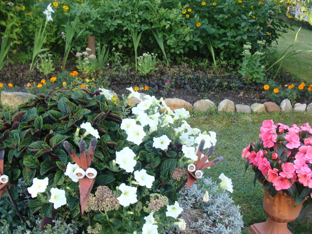 głowy ptaków w skalniaku zrobione przez mojego męża