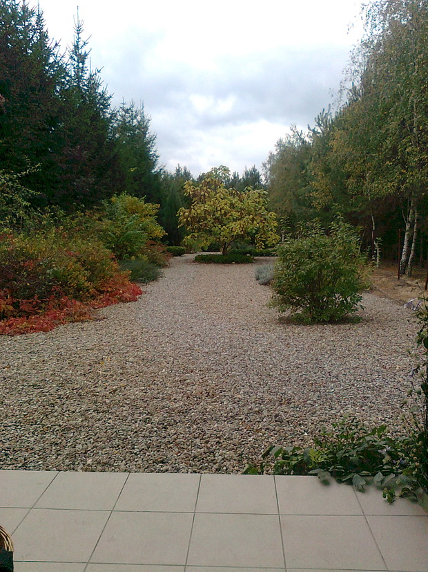 Jesienny widok z tarasu.