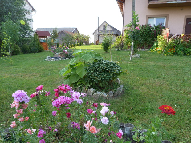 Kamień nanizany ogrodem