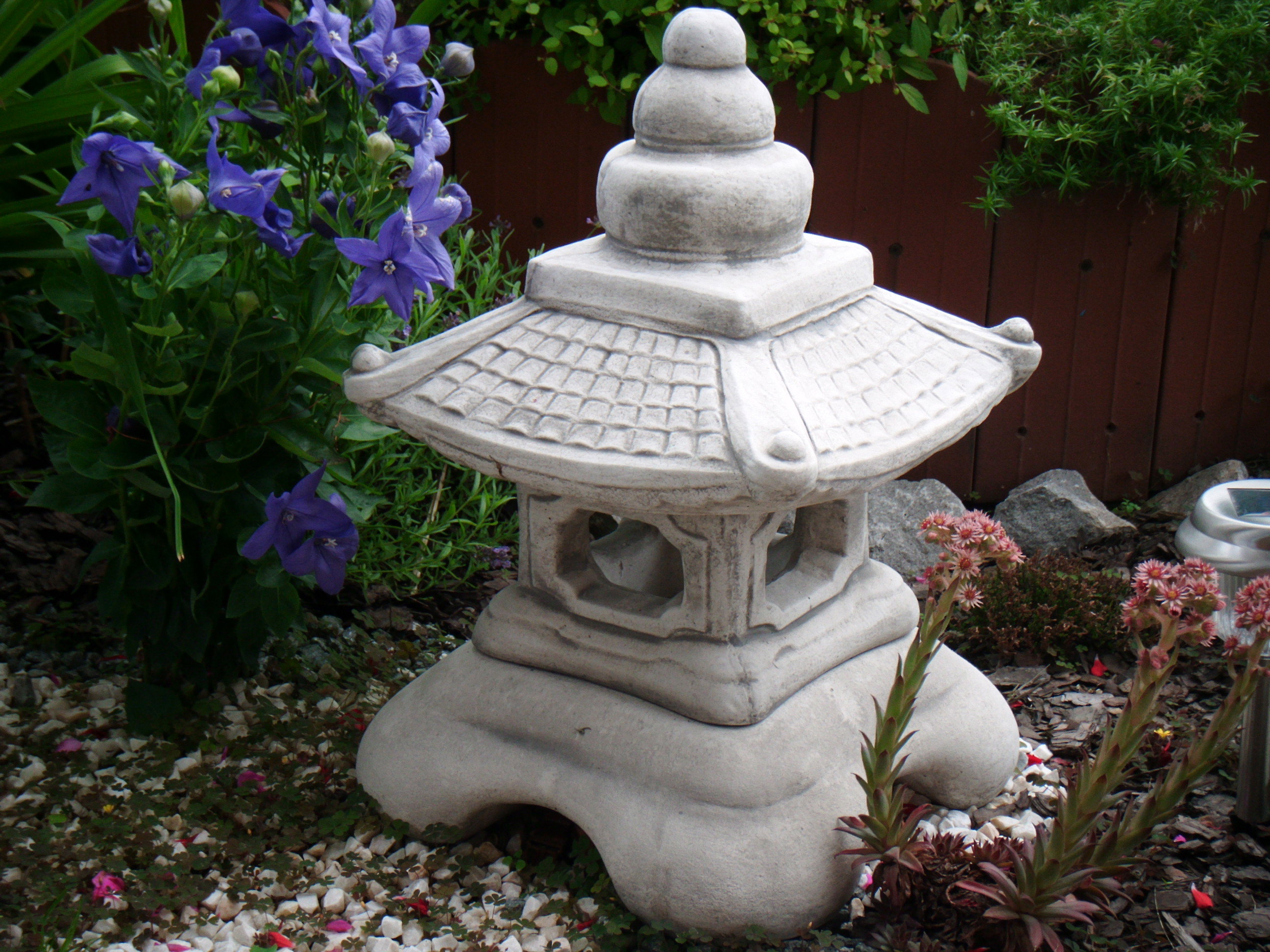 Latarenka i fioletowy rozwar wielkokwiatowy