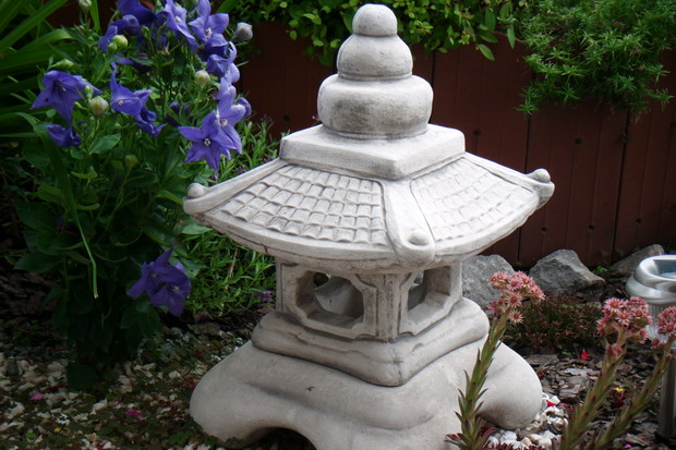 Latarenka i fioletowy rozwar wielkokwiatowy