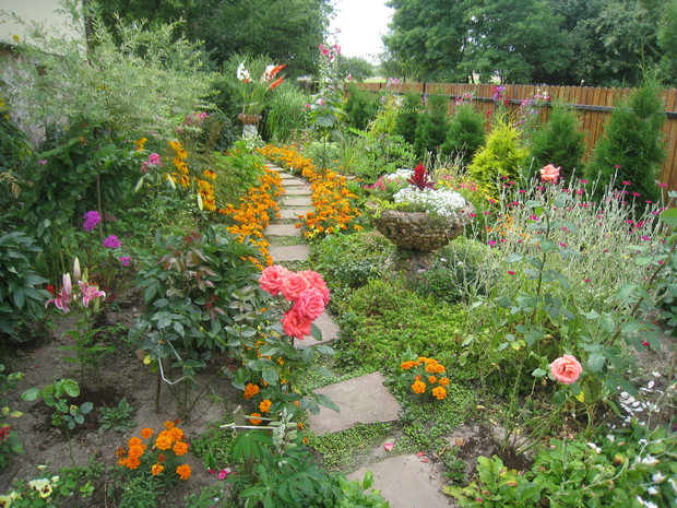 Lato w moim ogrodzie