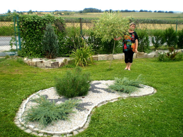 Mama przy ulubionej wierzbie hakuro nishiki i rabatce z krzewów iglastych