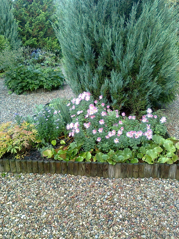 Marcinki w roli głównej