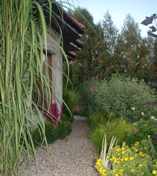 miskantusy olbrzymie piękne latem i zimą