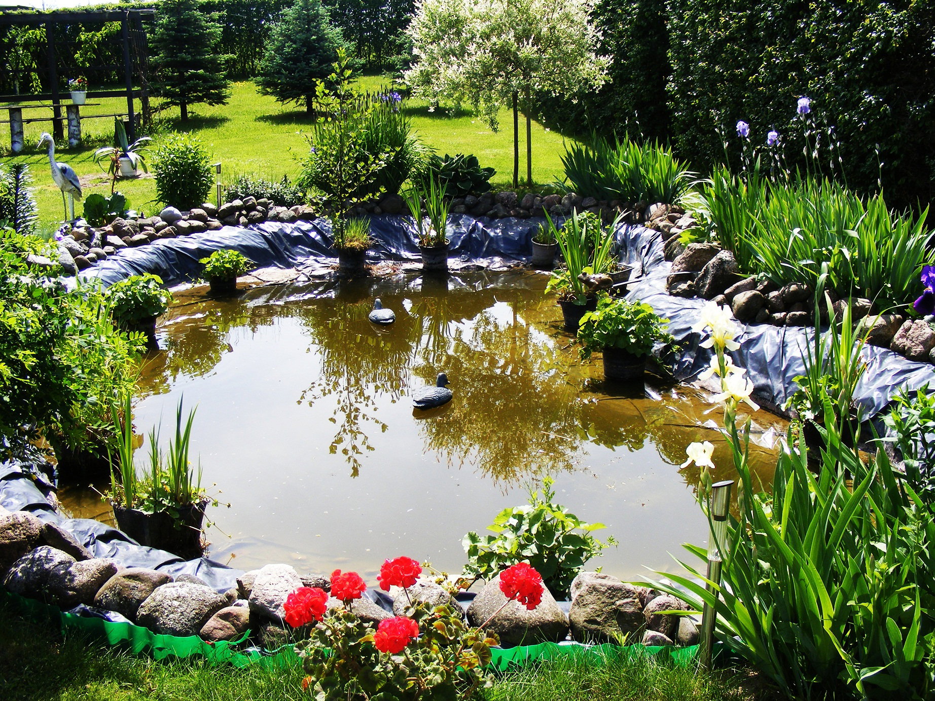 Moje Królestwo w Którym wypoczywam.