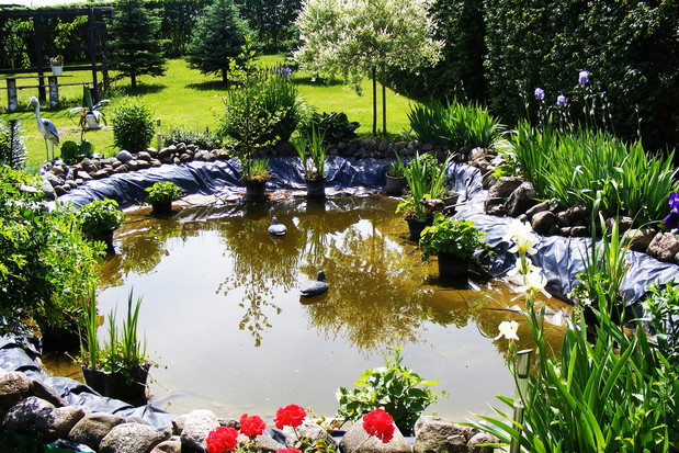 Moje Królestwo w Którym wypoczywam.