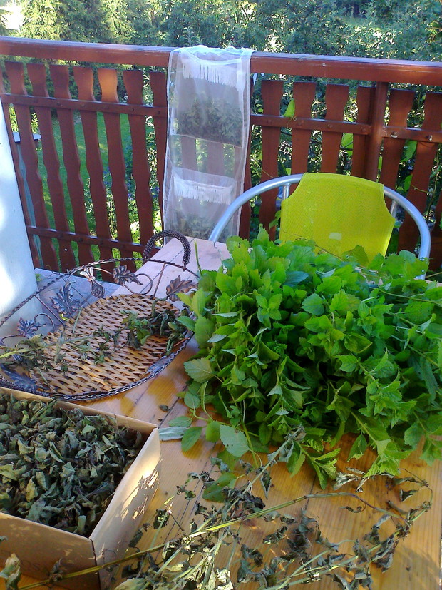 Na tarasie znalazło się przewiewne miejsce do suszenia ziół