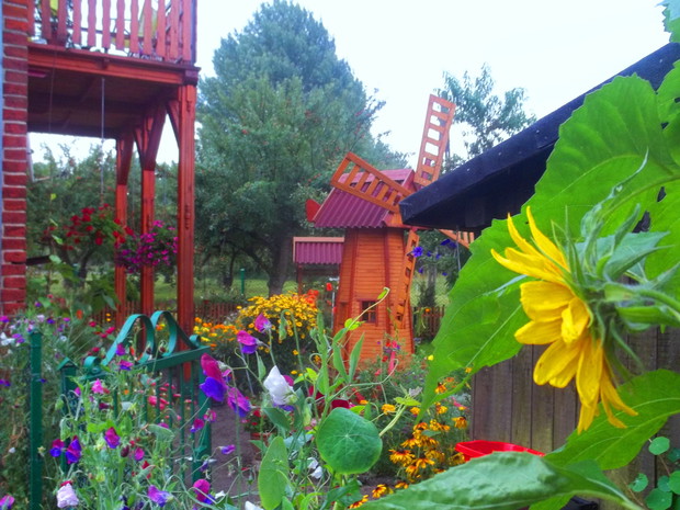 nasz bajkowy ogród okiem przechodnia