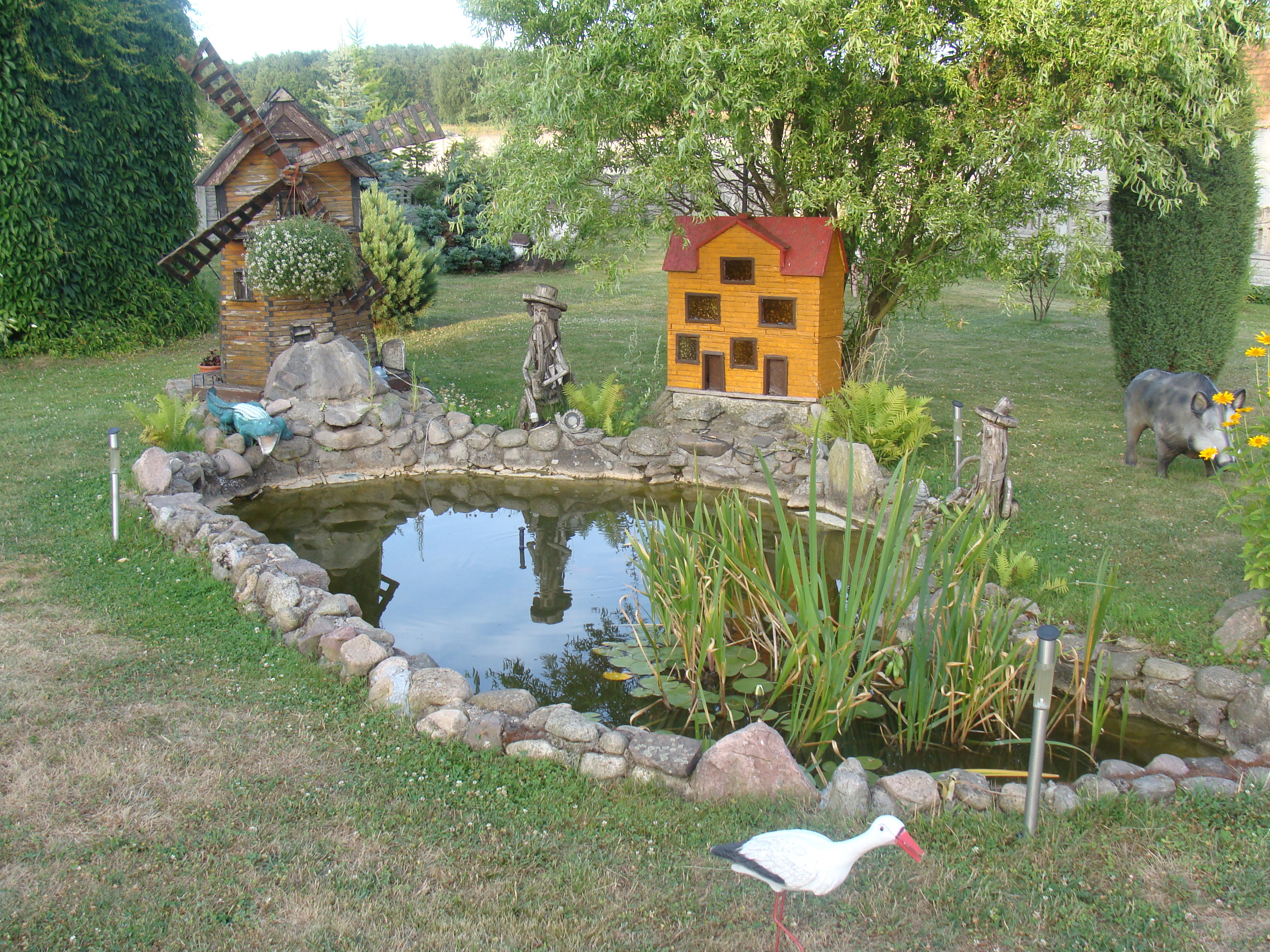 Oczko wodne z bliska