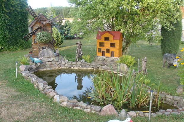 Oczko wodne z bliska