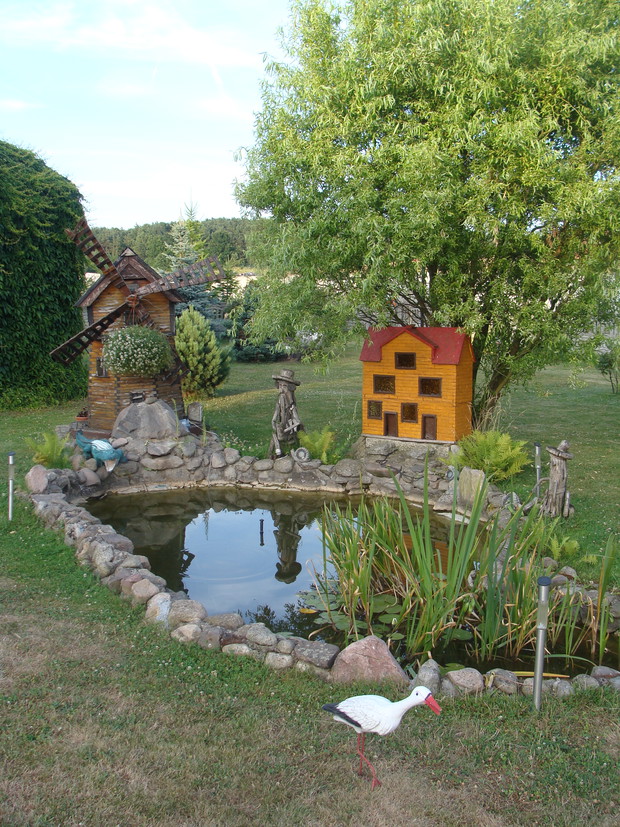 Oczko wodne z bliska