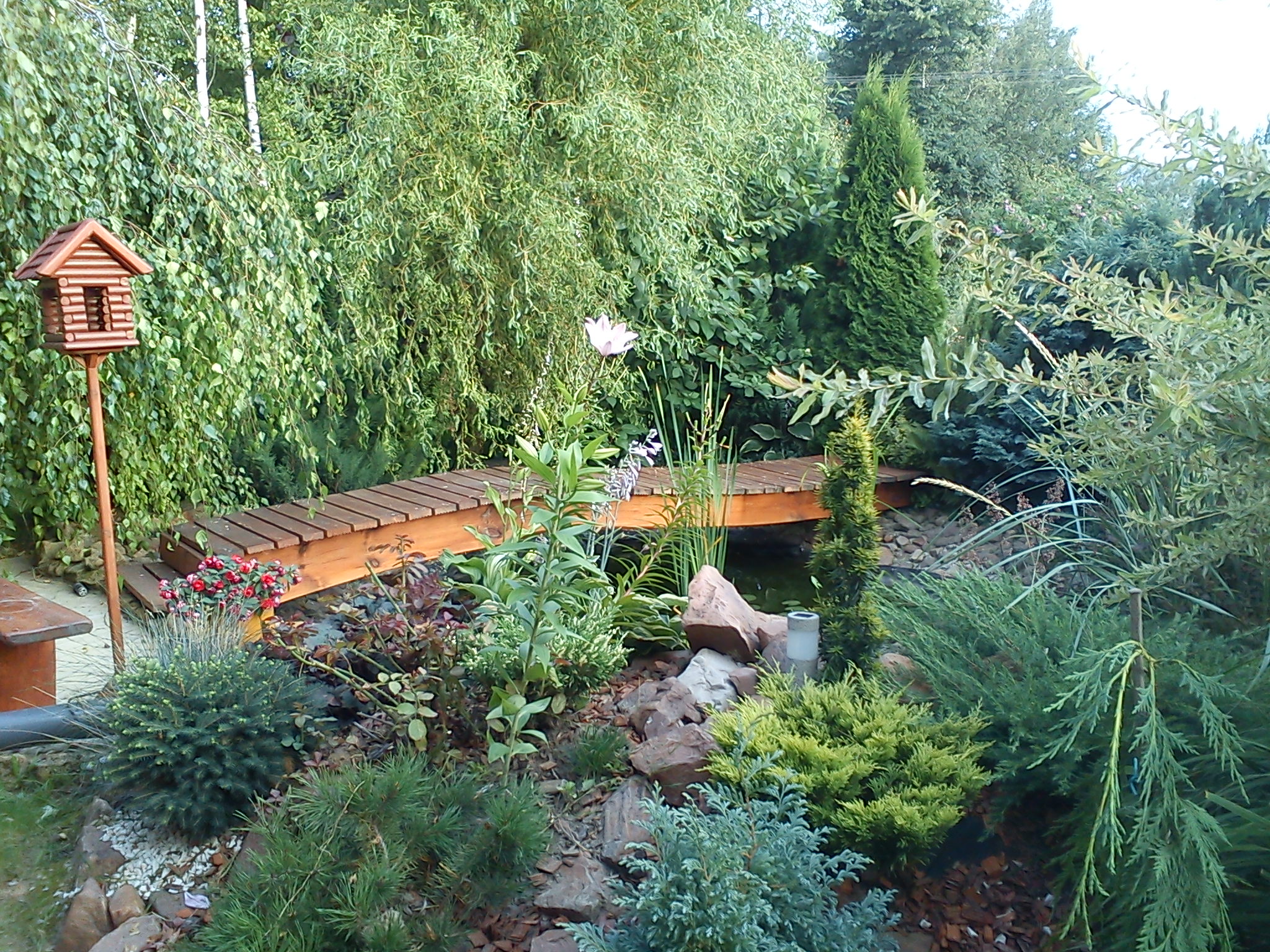 oczko wodne z drewnianą kładką