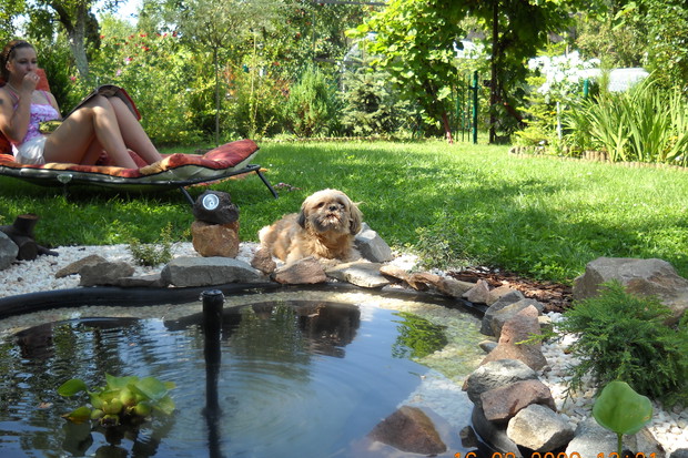 Odpoczynek przy oczku wodnym.