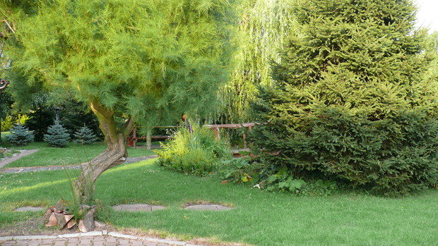 Ogólny widok na ogród od strony domu.