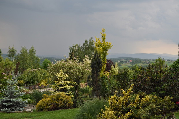 Ogólny widok na ogród