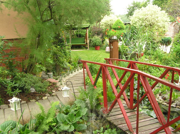 Ogród - przestrzeń dająca nam radość i odpoczynek to tutaj ochoczo przechodzę czerwonym mostkiem nad oczkiem.